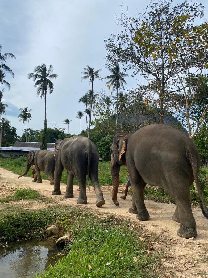 Amadha Villas Retreat - Free Tuk-Tuk Service To The Beach Ao Nang Ngoại thất bức ảnh